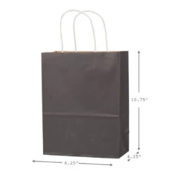 Hallmark 10.7" 12-Pack Assorted Kraft Paper Gift Bags -Lovely Souvenir Store 10.7 Prints and Solids 12Pack Assorted Gift Bags 5EGB6051 03