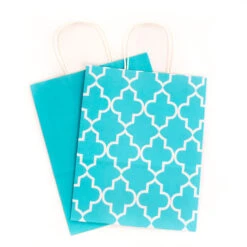 Hallmark 12.5" 12-Pack Assorted Kraft Paper Gift Bags -Lovely Souvenir Store 12.5 Prints and Solids 12Pack Assorted Gift Bags 5EGB6049 05