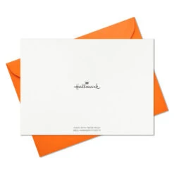 Hallmark Abstract Doodles And Dots Boxed Blank Note Cards, Pack Of 48 -Lovely Souvenir Store Abstract Doodles and Dots Boxed Blank Note Cards 5STZ1092 05