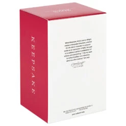 Hallmark Christmas Angels Good Cheer Ornament -Lovely Souvenir Store Angel in Red Flowers Dress Keepsake Ornament 2499QXR8267 05