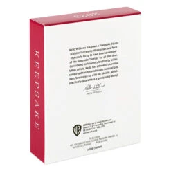 Hallmark Animaniacs™ Zany To The Max! Ornament -Lovely Souvenir Store Animaniacs Logo Keepsake Ornament 1899QXI6057 05