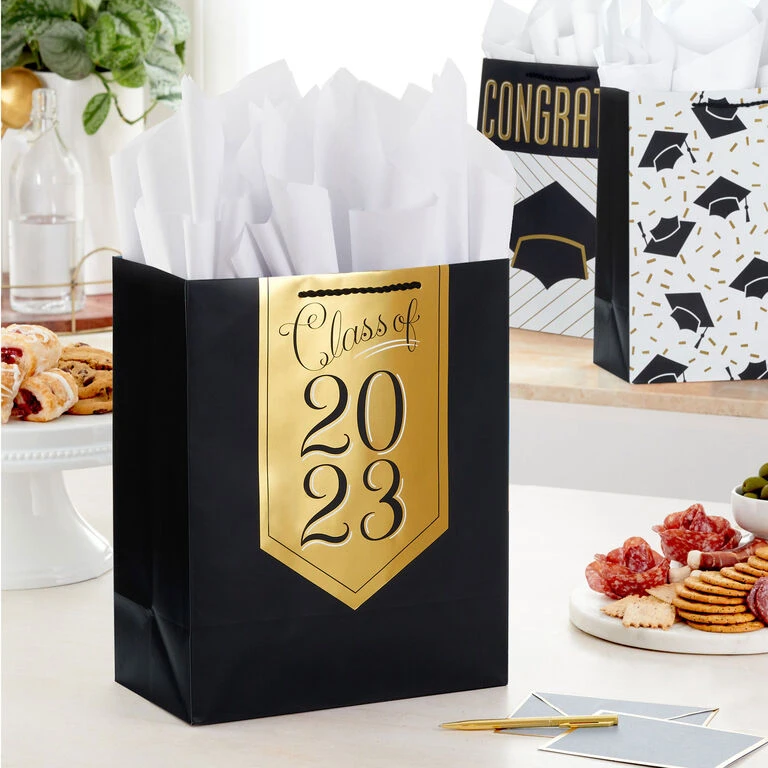 Hallmark 13" Assorted Grad Designs 3-Pack Large Gift Bags With Tissue Paper 4 Hallmark 13" Assorted Grad Designs 3-Pack Large Gift Bags With Tissue Paper - Image 2