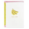 Hallmark Thanks A Bunch Boxed Blank Thank-You Notes, Pack Of 8 -Lovely Souvenir Store Banana Bunch Boxed Blank ThankYou Notes Multipack 1THK4117 01