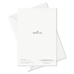 Hallmark Big Celebrations Assorted Cards, Box Of 12 14 Hallmark Big Celebrations Assorted Cards, Box Of 12 -Lovely Souvenir Store Big Celebrations Assorted Cards Bulk Pack 5EDX1073 06