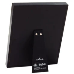 Hallmark Harry Potter™ Friendship And Bravery Hermione Granger™ Framed Quote Sign, 8x10 -Lovely Souvenir Store Black and Gold Books and Hermione Quote Framed Sign 1HPO1085 02