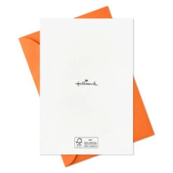 Hallmark Boo To You Boxed Halloween Cards Assortment, Pack Of 36 -Lovely Souvenir Store Boo to You Boxed Halloween Cards Assortment 5ELT1011 08