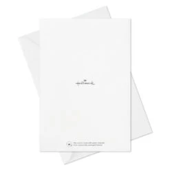 Hallmark Colorful Classic Boxed All-Occasion Cards Assortment, Pack Of 12 -Lovely Souvenir Store Celebrate Assorted Boxed AllOccasion Cards 3EDX1204 10