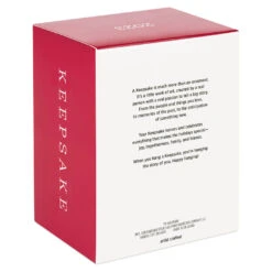 Hallmark Disney Chip And Dale Snow Much Fun! Ornament -Lovely Souvenir Store Chip and Dale Chipmunks Sledding Keepsake Ornament 2099QXD6567 05