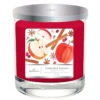 Hallmark Cinnamon Wishes 3-Wick Jar Candle, 16 Oz. -Lovely Souvenir Store Cinnamon Wishes 3Wick Jar Candle 1BGC1073 01