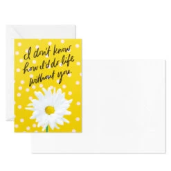 Hallmark Colorful Daisies Boxed Thank-You Notes, Pack Of 50 -Lovely Souvenir Store Colorful Daisies Boxed ThankYou Notes 3THK2543 04