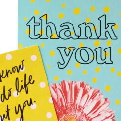 Hallmark Colorful Daisies Boxed Thank-You Notes, Pack Of 50 -Lovely Souvenir Store Colorful Daisies Boxed ThankYou Notes 3THK2543 05