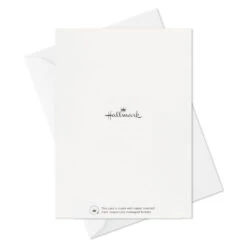 Hallmark Colorful Daisies Boxed Thank-You Notes, Pack Of 50 -Lovely Souvenir Store Colorful Daisies Boxed ThankYou Notes 3THK2543 07