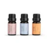 Demdaco Well-Being Essential Oil Trio -Lovely Souvenir Store Demdaco WellBeing Essential Oil Trio 1004540045 01