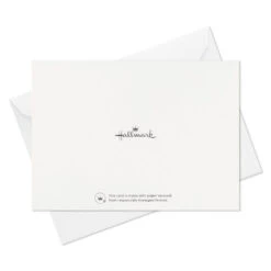 Hallmark Modern Elegance Boxed Thank-You Notes, Pack Of 50 15 Hallmark Modern Elegance Boxed Thank-You Notes, Pack Of 50 -Lovely Souvenir Store Modern Elegance Boxed ThankYou Notes 3THK2545 07
