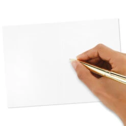 Hallmark Pattern Play Assorted Blank Note Cards, Pack Of 48 10 Hallmark Pattern Play Assorted Blank Note Cards, Pack Of 48 -Lovely Souvenir Store Pattern Play Assorted Blank Note Cards 5STZ5118 04