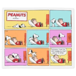 Hallmark Peanuts® Snoopy And Linus Comic Strip Throw Blanket, 50x60 -Lovely Souvenir Store Peanuts Snoopy and Linus Comic Strip Throw Blanket 1PAJ3509 03