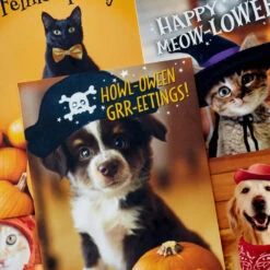 Hallmark Pet Puns Boxed Halloween Cards Assortment, Pack Of 48 -Lovely Souvenir Store Pet Puns Boxed Halloween Cards Assortment 5ELT1013 03