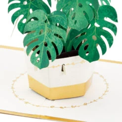 Hallmark Plant In Pot 3D Pop-Up Thinking Of You Card 13 Hallmark Plant In Pot 3D Pop-Up Thinking Of You Card -Lovely Souvenir Store Plant in Pot 3D PopUp Thinking of You Card 1299LAD2900 03