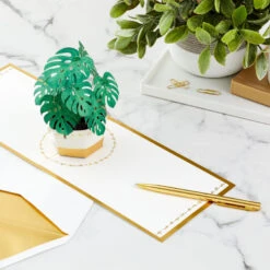 Hallmark Plant In Pot 3D Pop-Up Thinking Of You Card 17 Hallmark Plant In Pot 3D Pop-Up Thinking Of You Card -Lovely Souvenir Store Plant in Pot 3D PopUp Thinking of You Card 1299LAD2900 07