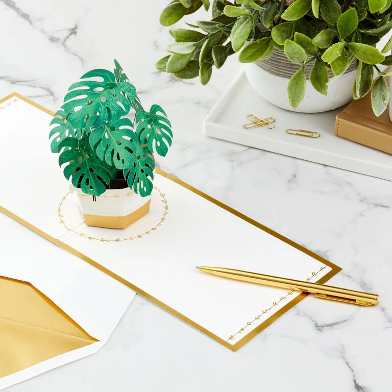 Hallmark Plant In Pot 3D Pop-Up Thinking Of You Card 9 Hallmark Plant In Pot 3D Pop-Up Thinking Of You Card - Image 7