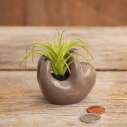 Lovely Souvenir Store -Lovely Souvenir Store Tiny Sloth Ceramic Planter With Faux Succulent PLNT065 02